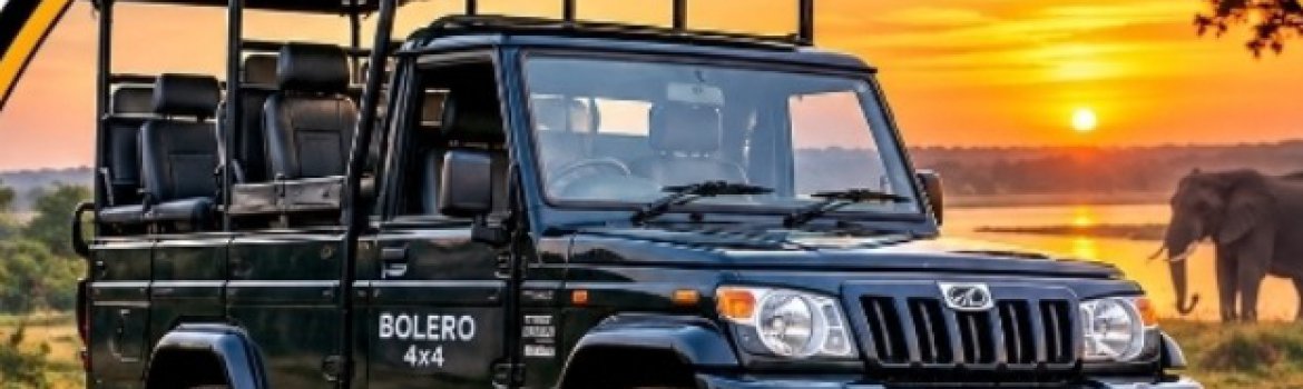 Asanka wild Safari