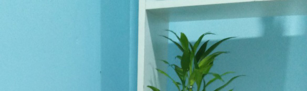 MADUSHI FURNITURE