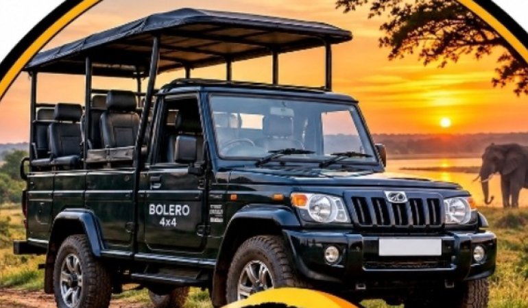 Asanka wild Safari