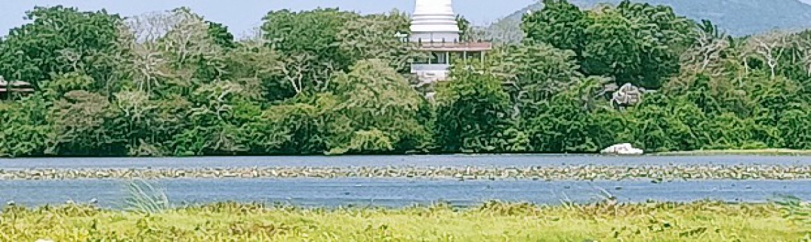 Sweha Tours