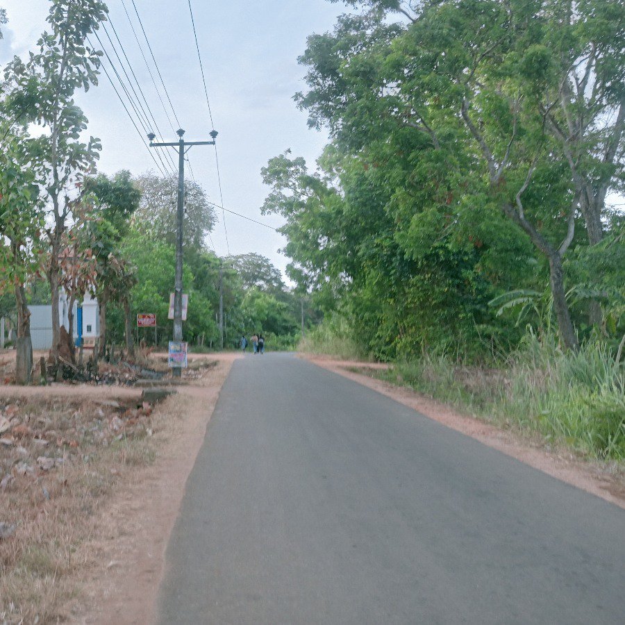 Sweha Tours